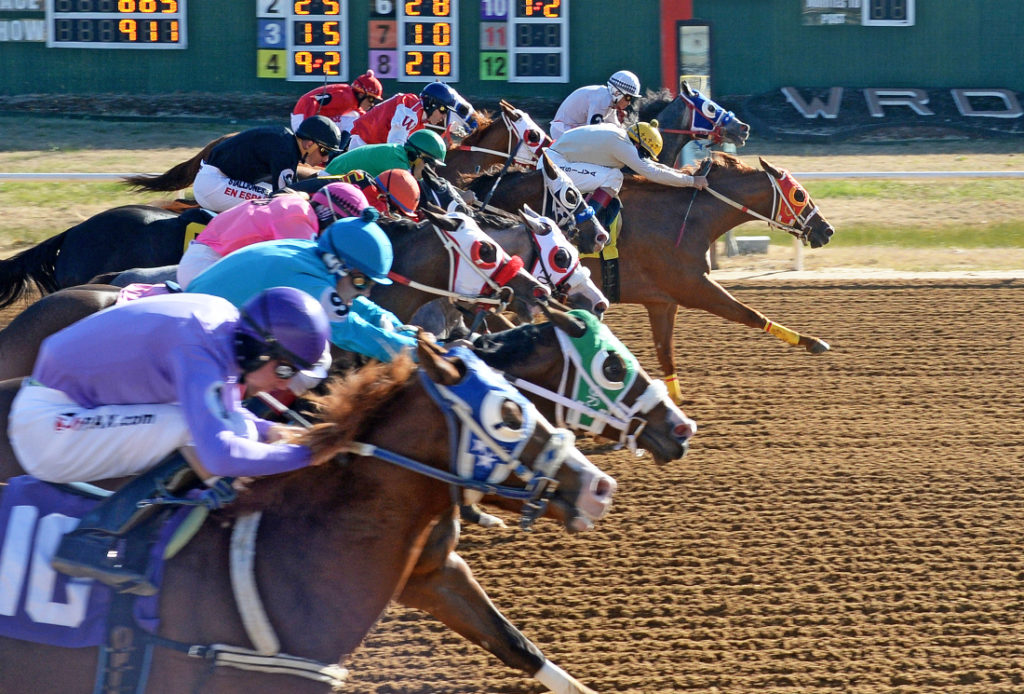 Horses Begin Fall Racing at Will Rogers Downs Indian Gaming