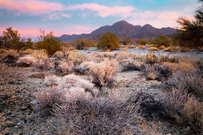 Chuckwalla National Monument